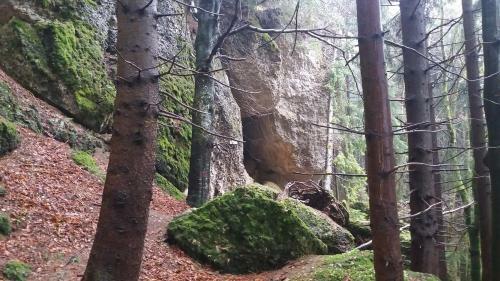 Apartamento Ferienwohnung Tannenblick