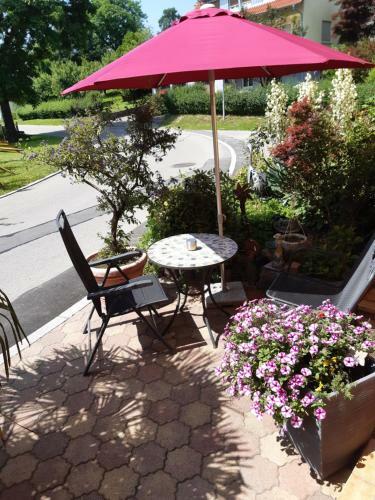 Apartamento Ferienwohnung Aspach Mit Waldblick