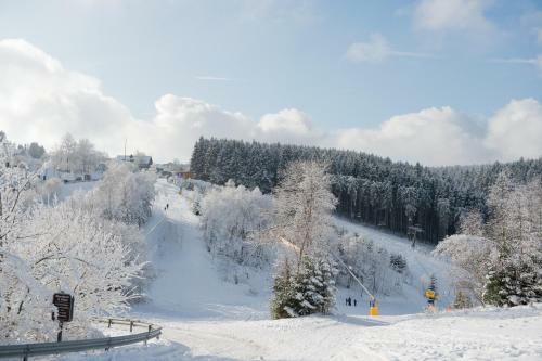 Hightop Apartments Winterberg