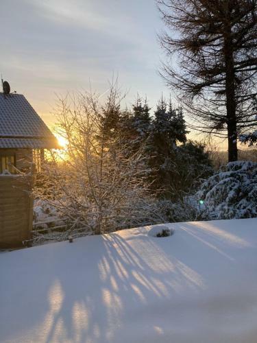 Ferienhaus Sauerlandtraum