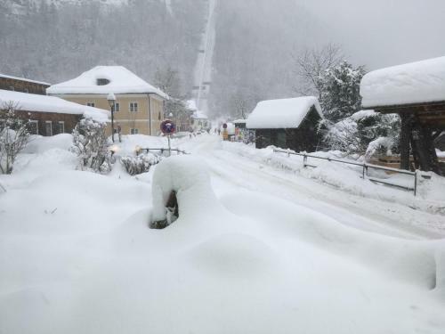 Hostal Gasthof Pension Gr�ner Anger