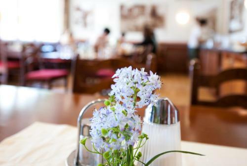 Hostal Gasthof Pension Gr�ner Anger
