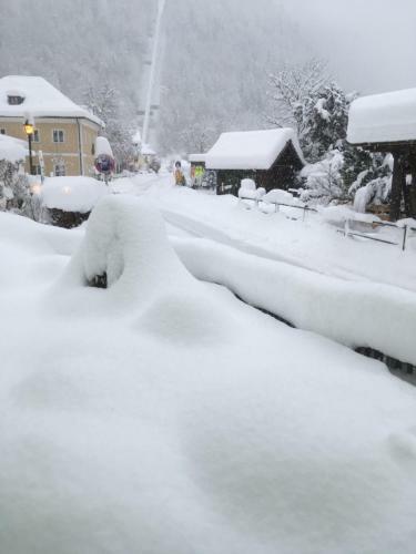Hostal Gasthof Pension Gr�ner Anger