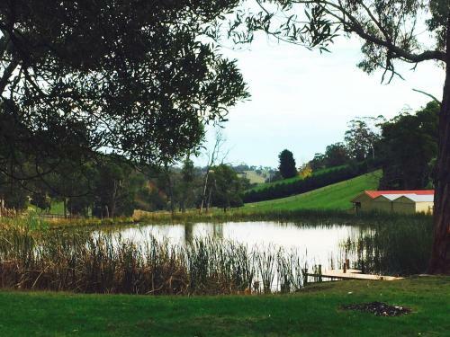 Agroturismo Gracefield Cottage