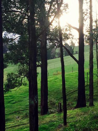 Agroturismo Gracefield Cottage