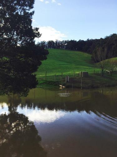 Agroturismo Gracefield Cottage