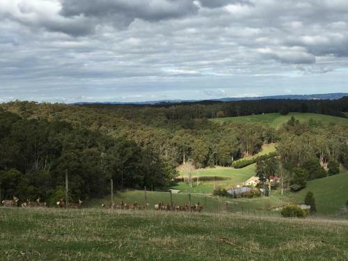 Agroturismo Gracefield Cottage