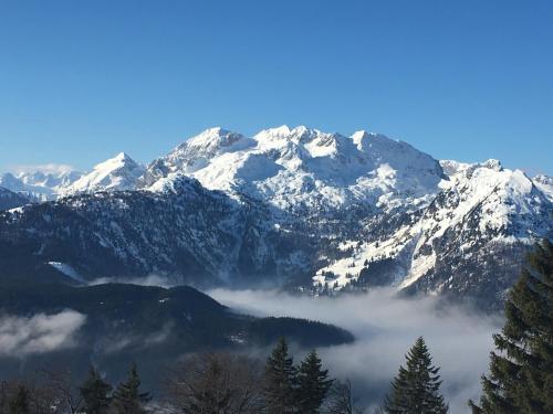 Alpenhotel Russbacher Hof