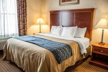 Hotel Comfort Inn & Suites Kent