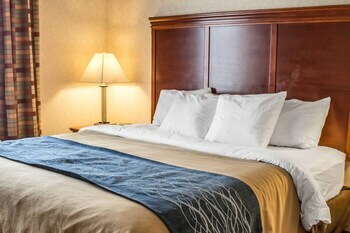 Hotel Comfort Inn & Suites Kent