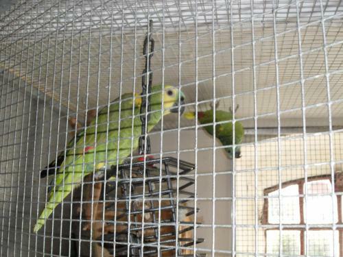 Lille Degnb�l Holiday House