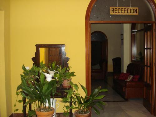 Hotel Meson Fuente Del Pino