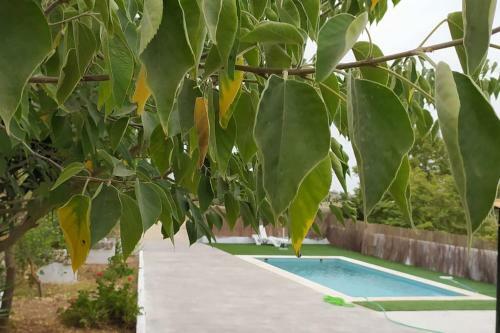 Vivienda Rural Cortijo De Liche