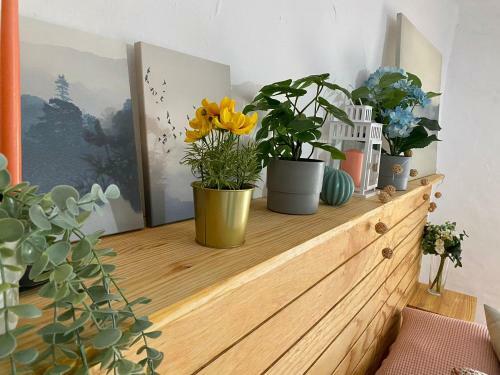 Apartamento El Jard�n De Lucas