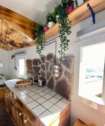 Apartamento El Jard�n De Lucas