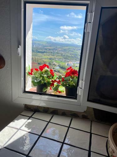 Apartamento El Jard�n De Lucas