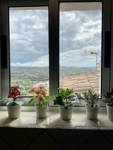 Apartamento El Jard�n De Lucas