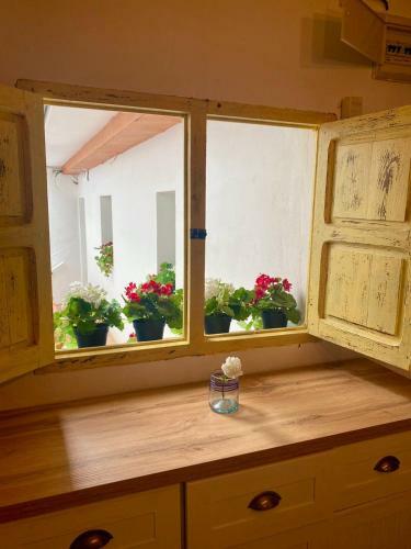 Apartamento El Jard�n De Lucas