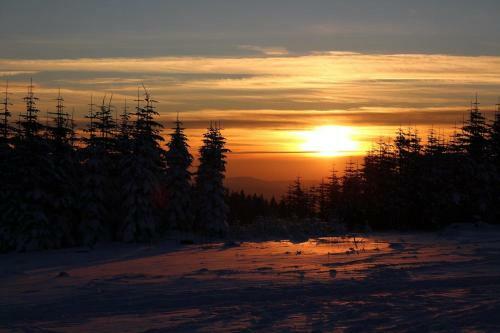 Apartamento Ferienwohnung Haus Nadja