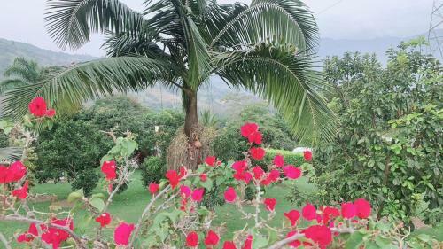Villa Espectacular Finca Girardota