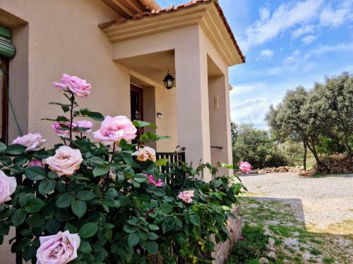 Apartamento Cal Viudet Nou