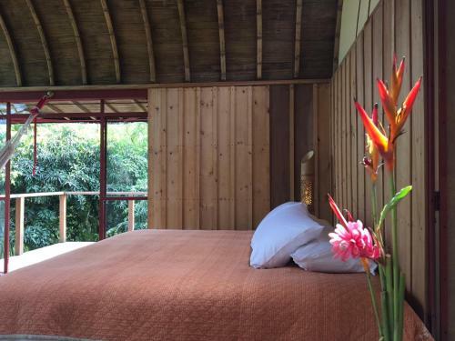 Villa Caba�a Quimbaya