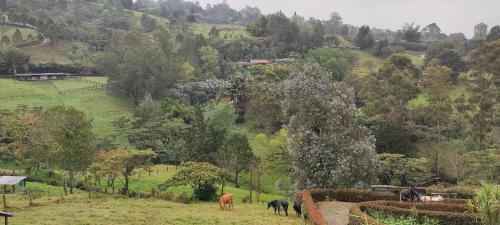 Casa Finca Descanso Dal�