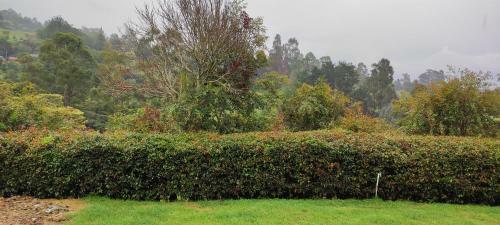 Casa Finca Descanso Dal�
