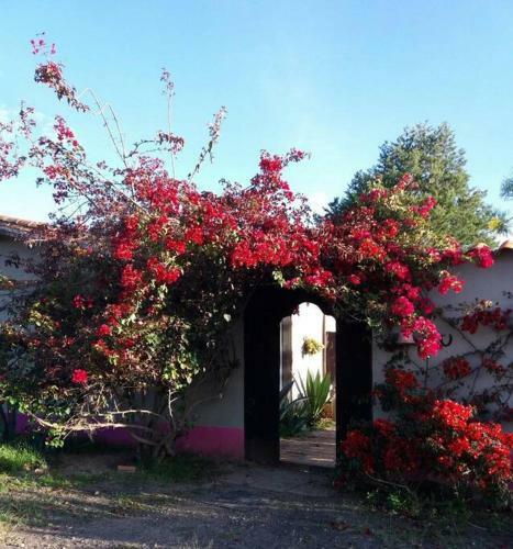 Villa Casa De Campo Loma Amarilla