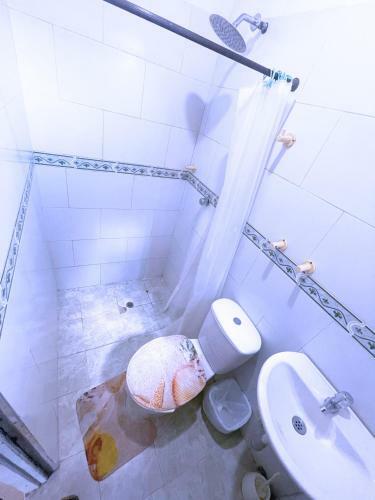 Hostal Historic House Santa Marta