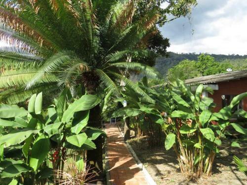 Villa Espectacular Casa D Campo Con Piscina Clima Calido