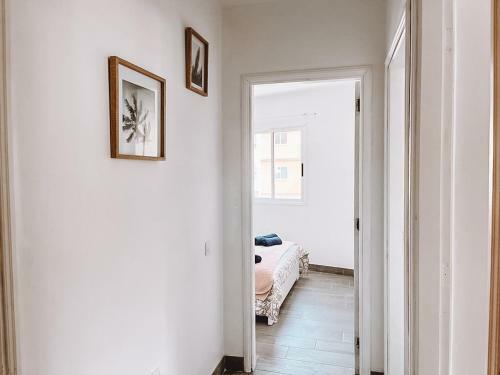 Pitaya Apartment