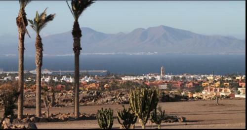 Fuerteventura Beachhouse