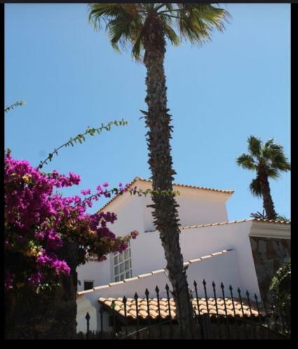 Fuerteventura Beachhouse
