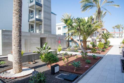 Apartment Gaviota