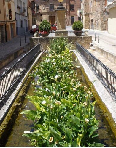 Apartamento La Pilarcita