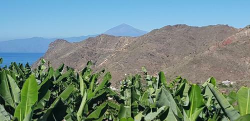 Agroturismo Casa 'tajaraste'