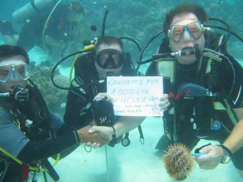Hotel Bohol-lahoy Dive And Beach Resort