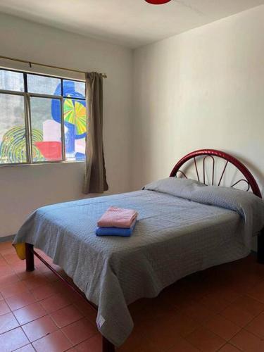 Apartamento Casa En Chapultepec Grande Y Con Gran Patio.