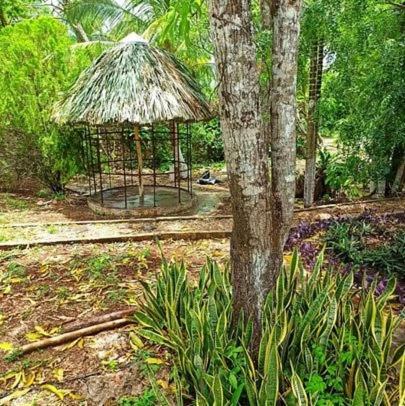 Lodge Yorkpetz All Nature !