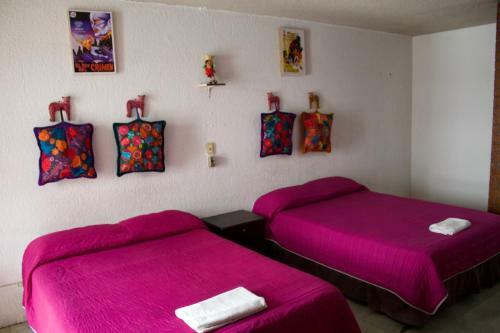 Hotel Frida Khalo Tgz