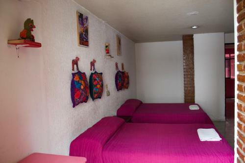 Hotel Frida Khalo Tgz