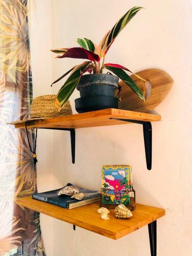 Apartamento @bellavistasurfhouse 2