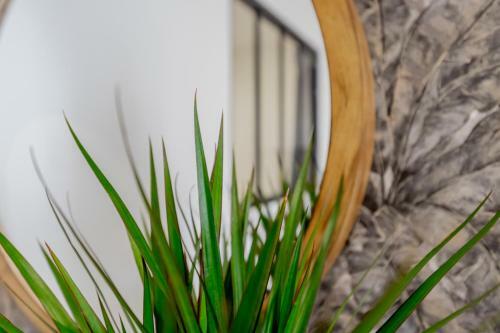 Apartamento La Suite Chill (Centre Ville-netflix-wifi)