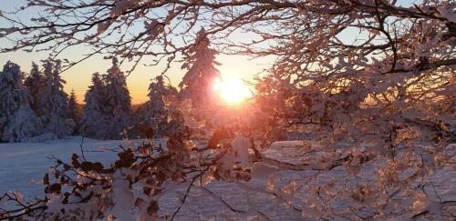 Apartamento Ferienwohnung Merle In Winterberg-altastenberg