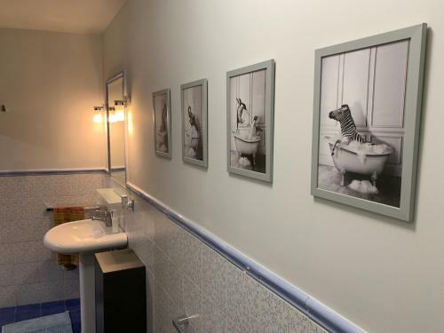 Terre Daci Apartments - Casa Vastea