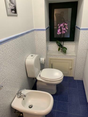 Terre Daci Apartments - Casa Vastea