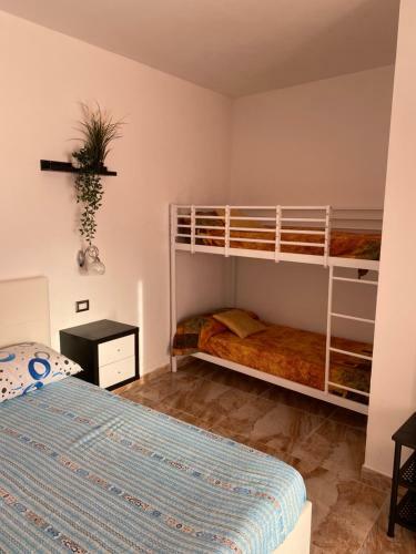 Hostal L'oasi Del Tuffatore