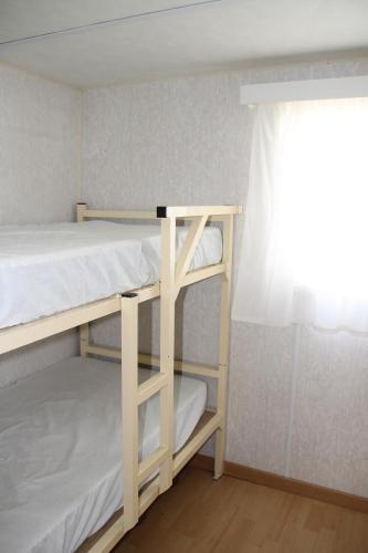 Camping Coll Vert