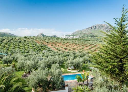 Agroturismo Ecologico El Cortijillo